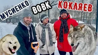 Михаил КОКЛЯЕВ и Денис ВОВК в ПАРКЕ ВОЛКОВ ‼️