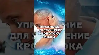 Улучшаем кровоток головного мозга в домашних условиях #шишонин #доктор
