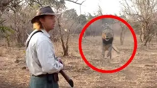 За Секунду До! Эти Случаи со Львами Вы Запомните на Всю Жизнь!