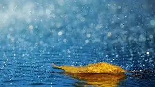 Soft Rain and Tibetan Singing Bowls   Relaxing Meditation Music