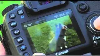 How to Shoot Slow Motion Video with the Canon EOS 7D