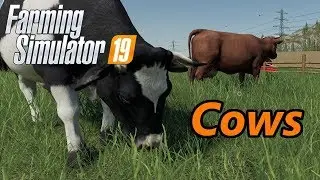 Farming Simulator 19 | Cows Tutorial