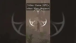 Video game NPCs when they despawn be like