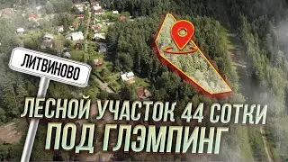 Литвиново Щелковский район 44 сотки | Лесной участок купить | Участок под глэмпинг