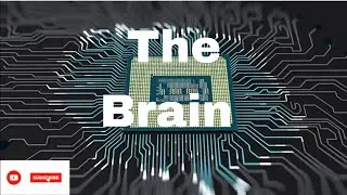 The Brains Behind Modern Technology: How Microprocessors work