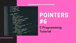 C Pointers Exercise 6: Dynamic Memory Allocation [C Programming]