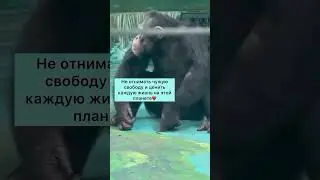 Имеет смысл только Любовь❤️ 