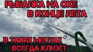 РЫБАЛКА на ОКЕ в конце ЛЕТА В ТАКИХ МЕСТАХ ВСЕГДА КЛЮЁТ
