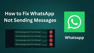 How to Fix WhatsApp Not Sending Messages (2025 Easy fix!)