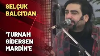 Selçuk Balcı'dan 'Turnam gidersen Mardin'e'