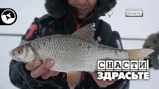 Крутые зимние приключения и гора плотвы | Снасти, здрасьте!