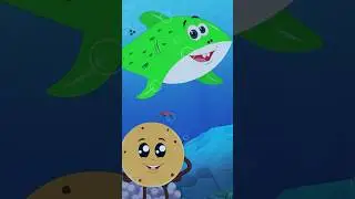 Baby Shark Song 