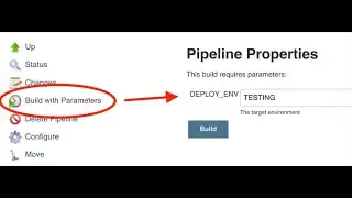 What are parameterized jobs in jenkins and how to configure it?