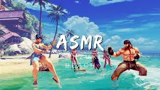 1 Hour Gentle Waves, seagulls, Beach Ambient Sounds 4 Relaxing and Sleep 🌴 SFV ASMR - Ryu VS Chun-Li