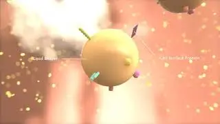 Exosome 3D Medical Animation - Infuse