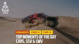 Cars Top moments - Stage 14 - #Dakar2023