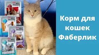 Корм для кошек и котов от Фаберлик. Обзор и испытания на коте😂 My lovely best friends