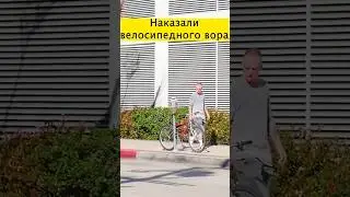 Как думаешь, достойное наказание?