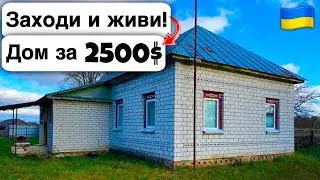 🇺🇦 Заходи и живи! Дом в селе за 2500$ Продажа недвижимости за копейки! Всё есть Уютное тихое село!