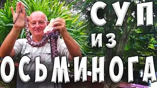 Sea octopus soup/OCTOPUS SOUP