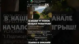 Учавствуй быстрее!! #shorts https://t.me/cherepuhus