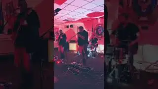A live sneak peak of 🦊 & 🐺 