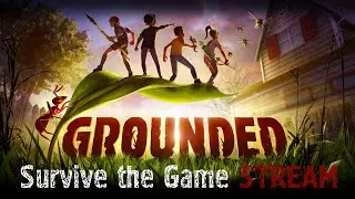 Вечерний стрим в Grounded