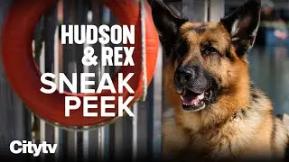 Exclusive INTERVIEW With The Cast of Hudson & Rex | Sundays on Citytv