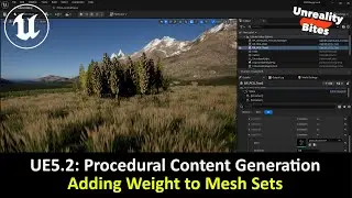 UE5.2: PCG - Adding Weight to Mesh Sets