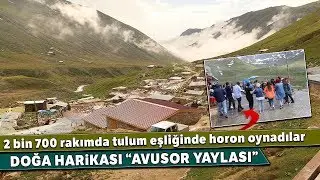 Rize’nin Az Bilinen Doğa Harikası Avusor Yaylası