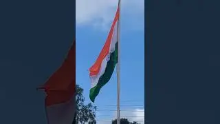 15 August 2022
