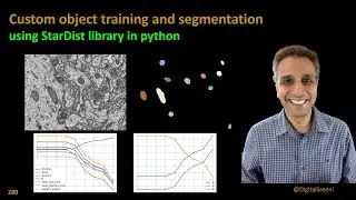 280 - Custom object segmentation using StarDist library in python