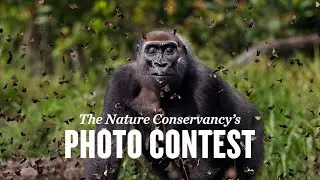 2022 Photo Contest