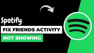 How To Fix Spotify Friend Activity Not Showing !