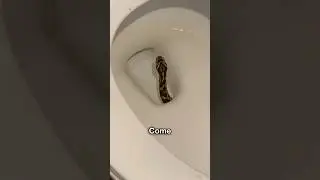 Scary Thing 😨