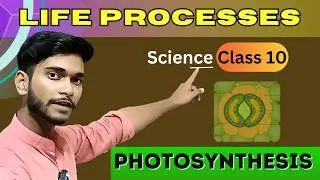 Life Processes class 10 Science|Photosynthesis and how does Stomata work | Autotrophic nutrition