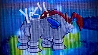 [LIVE] Shiny Terrakion in Black 2!!!