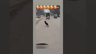 motoqueiro salva vidas