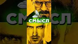 Смысл эпизода МУХА сериала ВО ВСЕ ТЯЖКИЕ #breakingbad #кино #сериал #вовсетяжкие #heisenberg