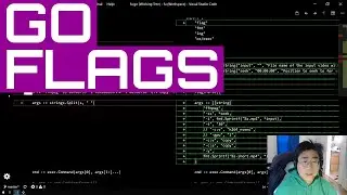 Go Flags | FFmpeg Utility #2