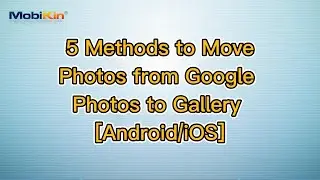 5 Methods to Move Photos from Google Photos to Gallery [Android/iOS]