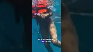 Little girl sees a shark in the ocean!