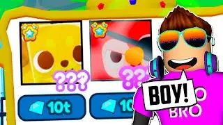 20 ТРИЛЛИОНОВ ЗА САМЫХ РЕДКИХ ХУГОВ В PET SIMULATOR X В РОБЛОКС??? ROBLOX