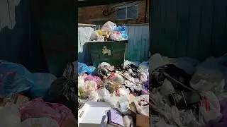 Ейск 2024. Что такое вообще происходит? Мусорный коллапс. @matematika777
