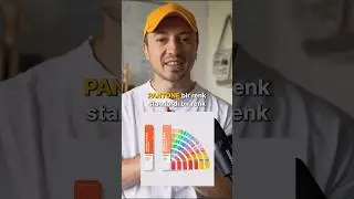 PANTONE Renk RGB veya CMYK Renge Kayıpsız Dönüştürülür mü?  