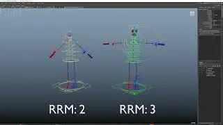 RRM2 vs RRM3 Axes Explained