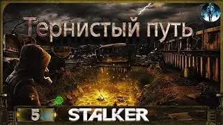 S.T.A.L.K.E.R. Тернистый путь - 5: Погоня за Клином, Второй ФИНАЛ