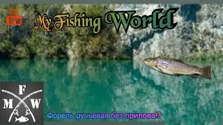 63)My Fishing World Форель ручьевая без прилова!?