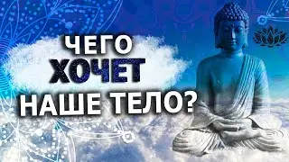 Если понять свое тело, оно Вам даст самое лучшее! Техники, как понять свое тело!