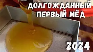 Долгожданный первый мёд 2024 года
